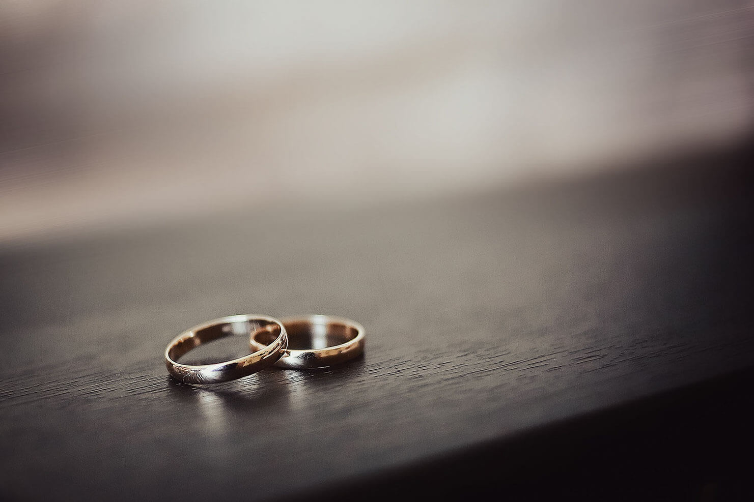 Студия Лидер. Свадебная фотосъёмка. Фотограф на свадьбу. Свадебное фотограффия. Свадебный фотограф Елена Вильчик.